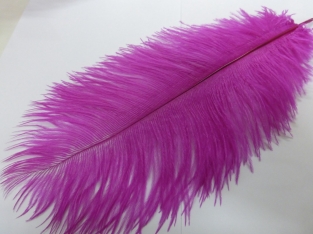 Ostrich Feather Large Fuchsia